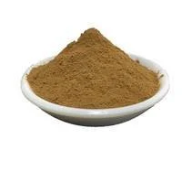 Can Grifola Frondosa Extract Help with Cancer?